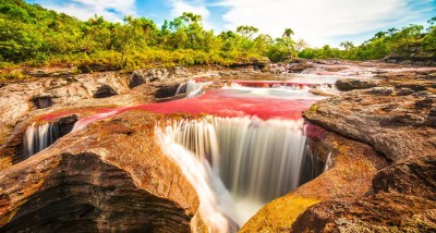 Caño cristales: Río de los 7 colores