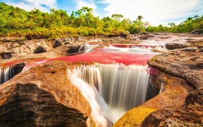 Caño cristales: Río de los 7 colores